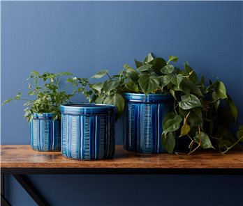 Pots & Planters