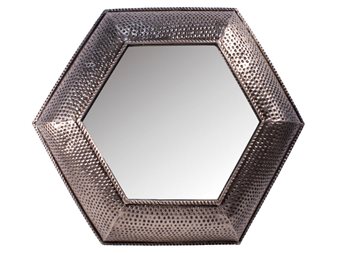 Metal Snakeskin Mirror