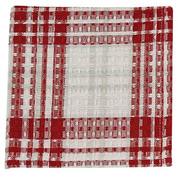 Peppermint Plaid Dishcloth