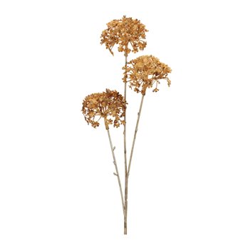 Golden Hydrangea Stem (Set of 12)