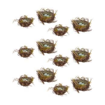 Birds Nest with Eggs (Set of 12)