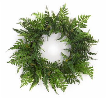 Mixed Fern Grapevine Wreath 24"D