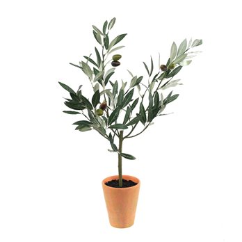 Potted Olive Tree Topiary 22"H