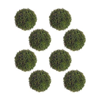 Boxwood Sedum Orb (Set of 8)