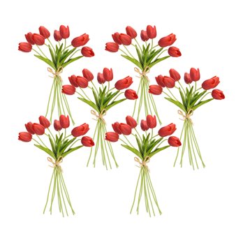 Spring Red Tulip Bundle (Set of 6)