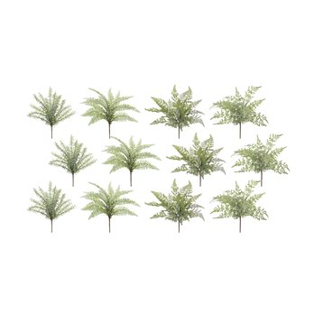 Assorted Fern Foliage Bush (Set of 12)