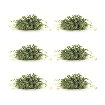 Spring Boxwood Foliage Half Orb (Set of 6)