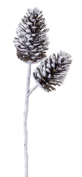 Flocked Snowy Pine Cone Spray (Set of 6)