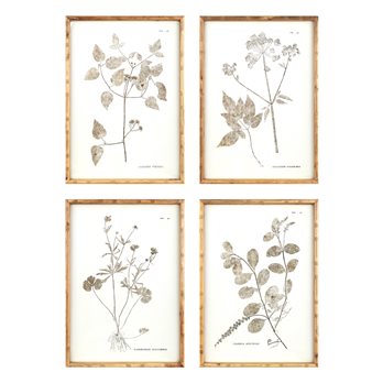 Bamboo Framed Encyclopedia Floral Print Under Glass (Set of 4)