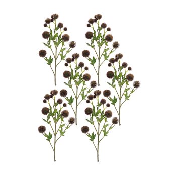 Brown Allium Floral Spray (Set of 6)