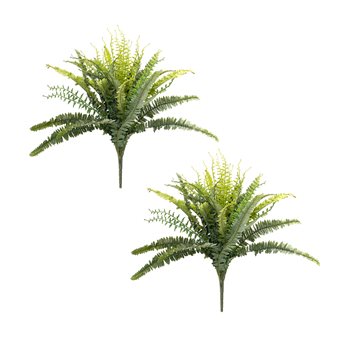 Mixed Fern Foliage Bush (Set of 2)