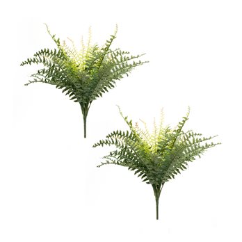 Mixed Fern Foliage Bush (Set of 2)