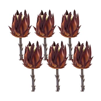 Burgandy Protea Stem (Set of 6)