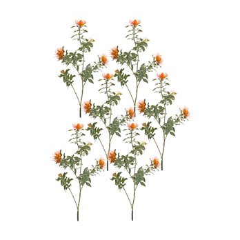 Orange Flocked Protea Spray (Set of 6)