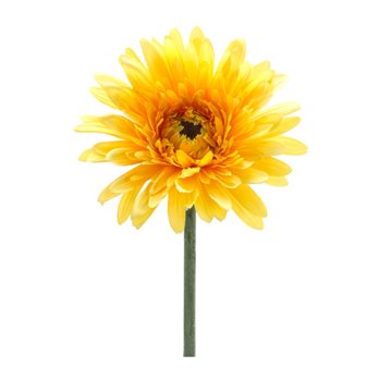 Gerbera Daisy Floral Stem (Set of 6)