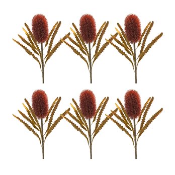 Burnt Orange Banksia Floral Stem (Set of 6)