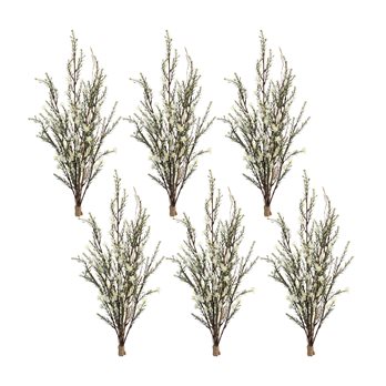 Leptospermum Flower Bundle (Set of 6)