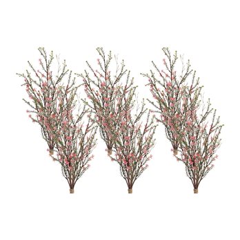 Leptospermum Flower Bundle (Set of 6)