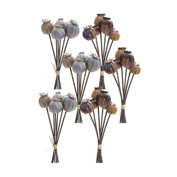 Brown Poppy Pod Foliage Bundle (Set of 6)