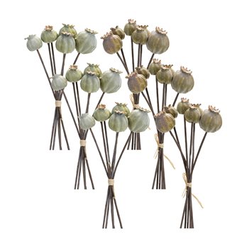 Sage Poppy Pod Foliage Bundle (Set of 6)