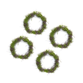 Moss Leaf Twig Wreath (Set of 4)