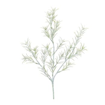 Rosemary Foliage Spray (Set of 6)