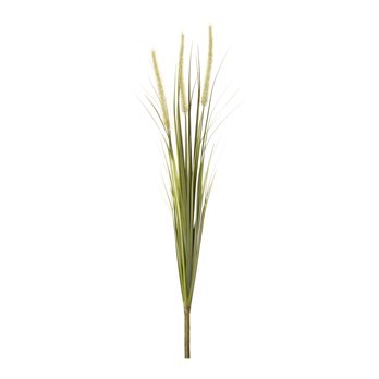 Foxtail Bush (Set of 6)