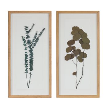 Dried Eucalyptus Frame (Set of 2)