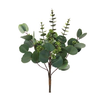 Mixed Eucalyptus Bundle (Set of 6)