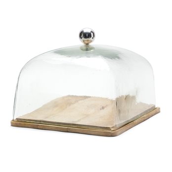 Glass Cloche with Wood Plate 10.5"SQ