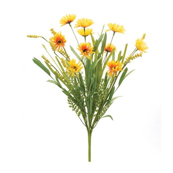 Mixed Daisy Bush (Set of 6)