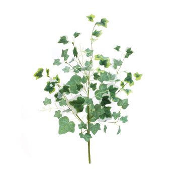 Mixed Ivy Foliage Bush (Set of 2)