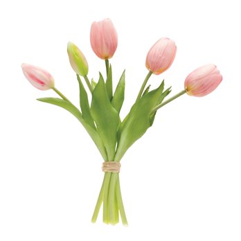 Tulip Floral Bundle (Set of 2)