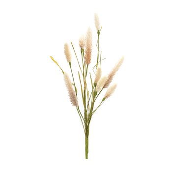 Foxtail Spray (Set of 6)