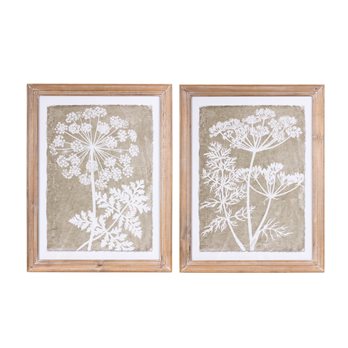 Framed Queen Anne's Lace and Fern Wall Art (Set of 2)