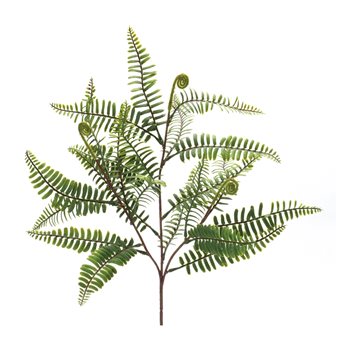 Fern Spray (Set of 6)