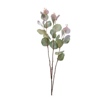 Seeded Eucalyptus Stem (Set of 6)