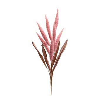 Foxtail Plume Stem (Set of 2)