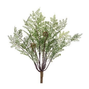 Fern Bush (Set of 2)