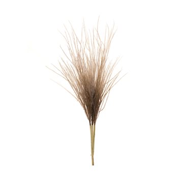 Grass Plume Bundle (Set of 2)