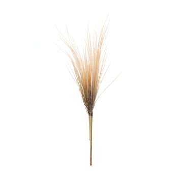 Grass Plume Bundle (Set of 2)