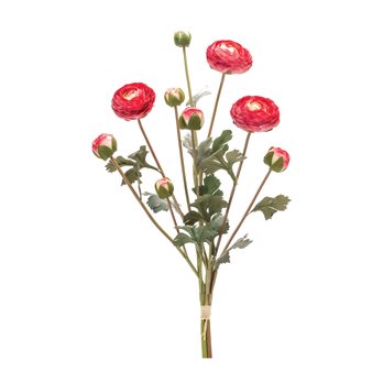 Ranunculus Bundle (Set of 2)