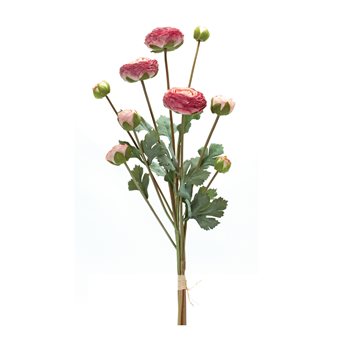 Ranunculus Bundle (Set of 2)