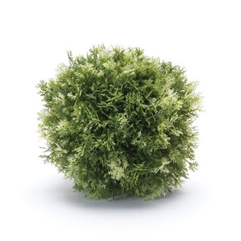 Foliage Half Orb (Set of 2)