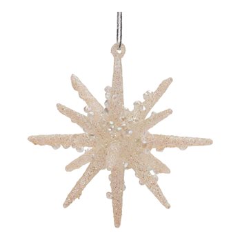 Frosted Glass Star Ornament (Set of 6)