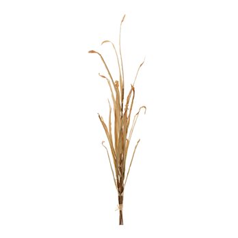 Tall Harvest Grass Stem (Set of 2)