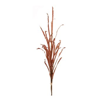 Tall Harvest Grass Stem (Set of 2)