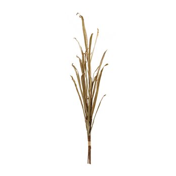 Tall Harvest Grass Stem (Set of 2)