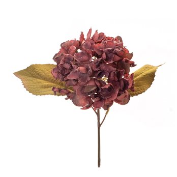 Burgandy Harvest Hydrangea Stem (Set of 6)