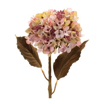 Pink Harvest Hydrangea Stem (Set of 6)